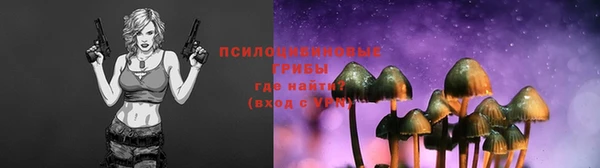 MDMA Богданович