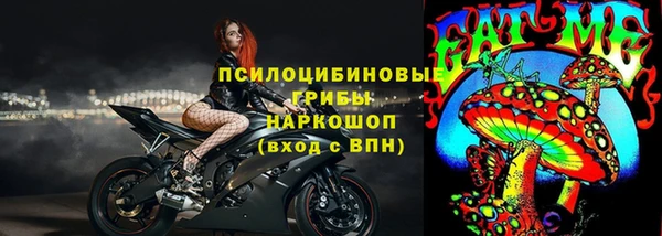 ГАЛЛЮЦИНОГЕННЫЕ ГРИБЫ Богородицк
