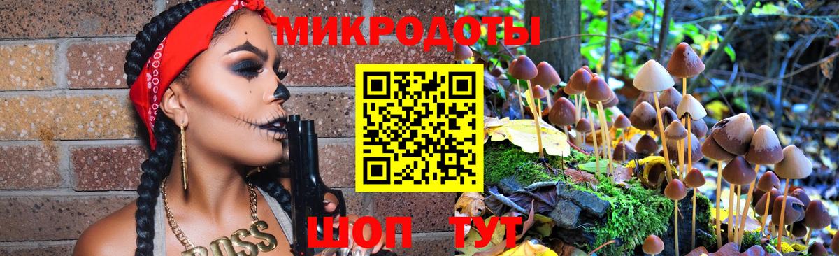 Галлюциногенные грибы мицелий  Гусев 