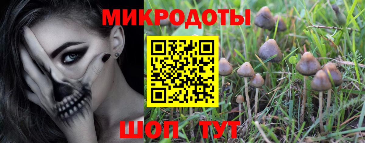 Гусев  Псилоцибиновые грибы ЛСД  Вход с VPN 